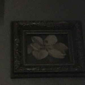 Meet your Posher, Ana